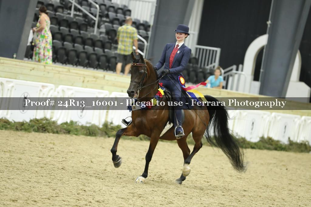 Proof 24R13_16001