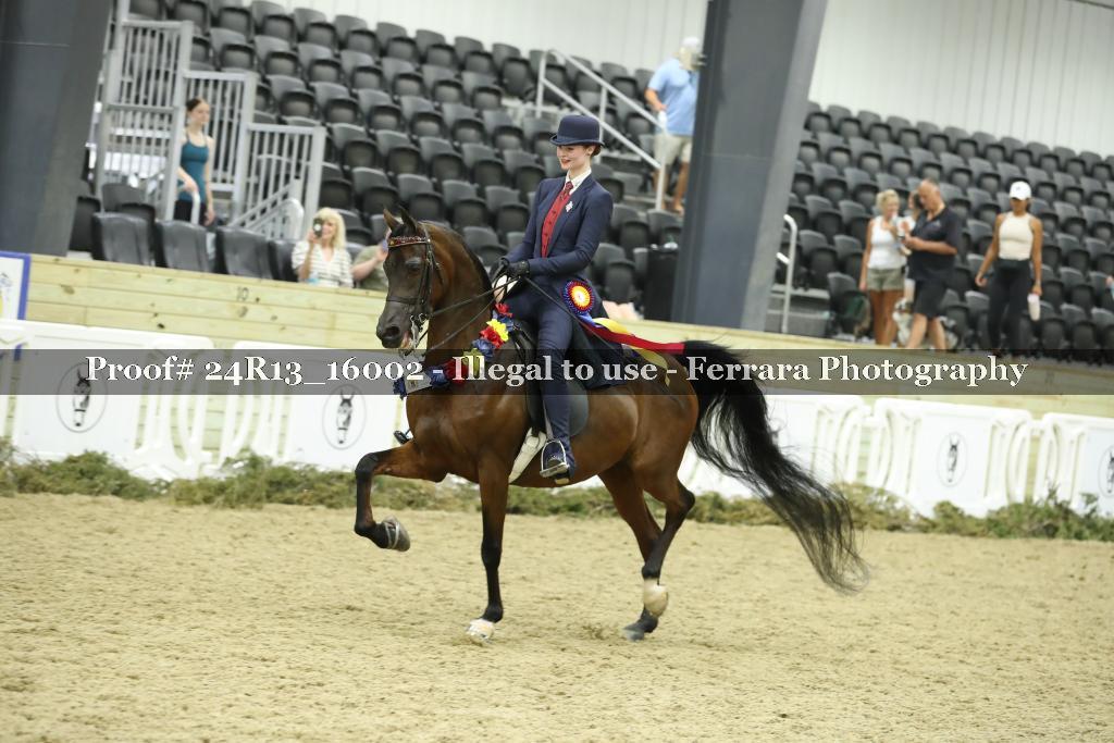 Proof 24R13_16002