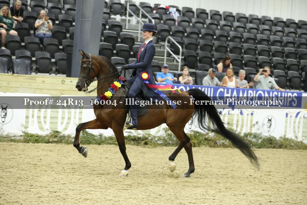 Proof 24R13_16004