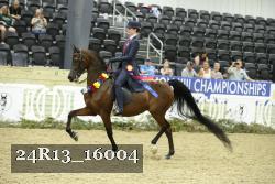24R13_16004 proof