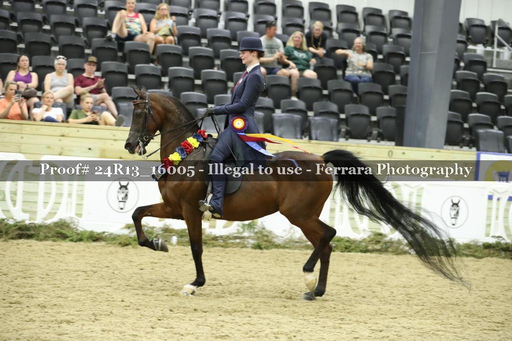 Proof 24R13_16005