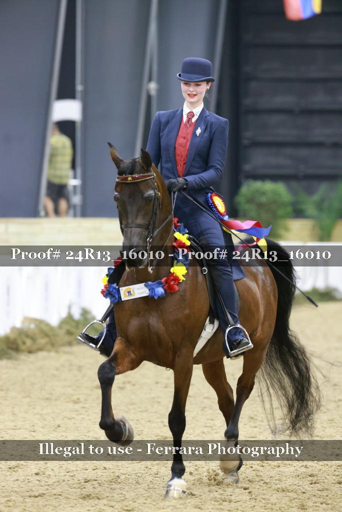 Proof 24R13_16010