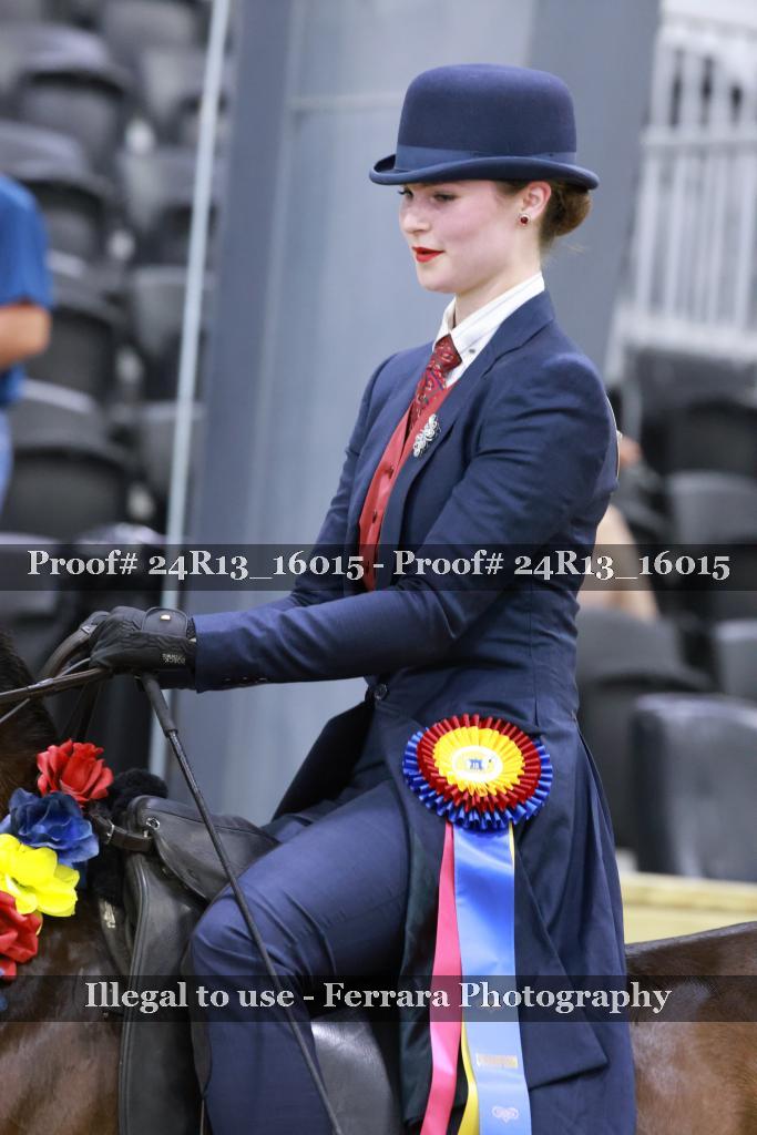 Proof 24R13_16015