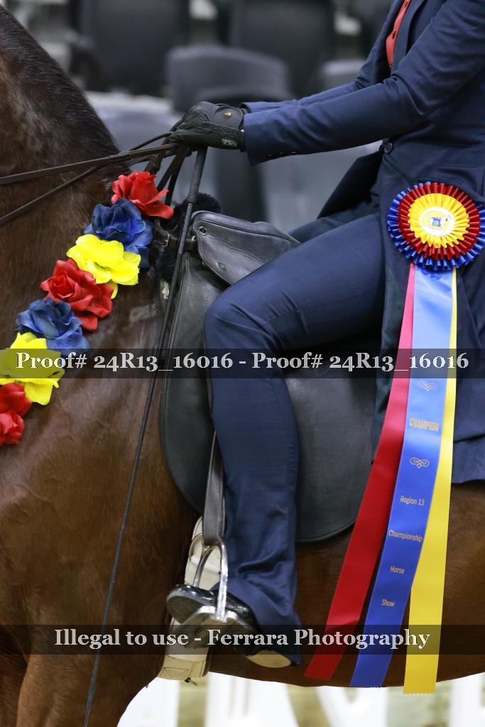 Proof 24R13_16016