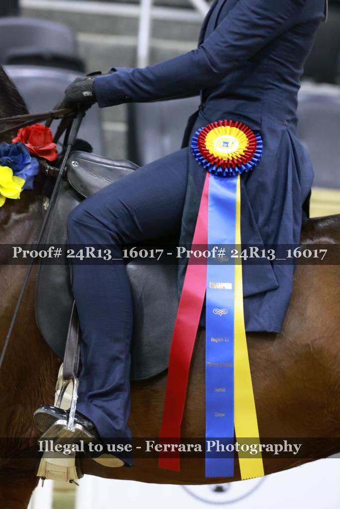 Proof 24R13_16017