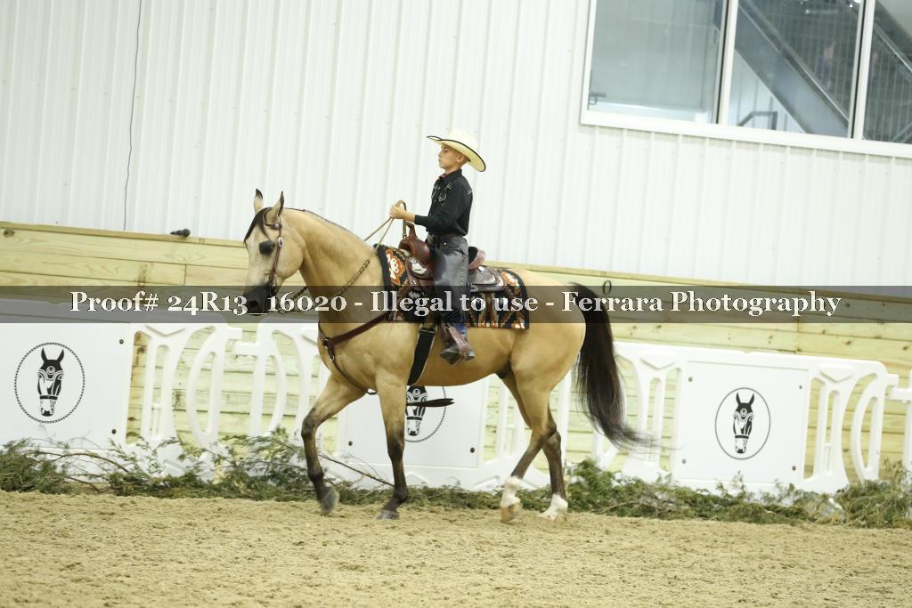 Proof 24R13_16020