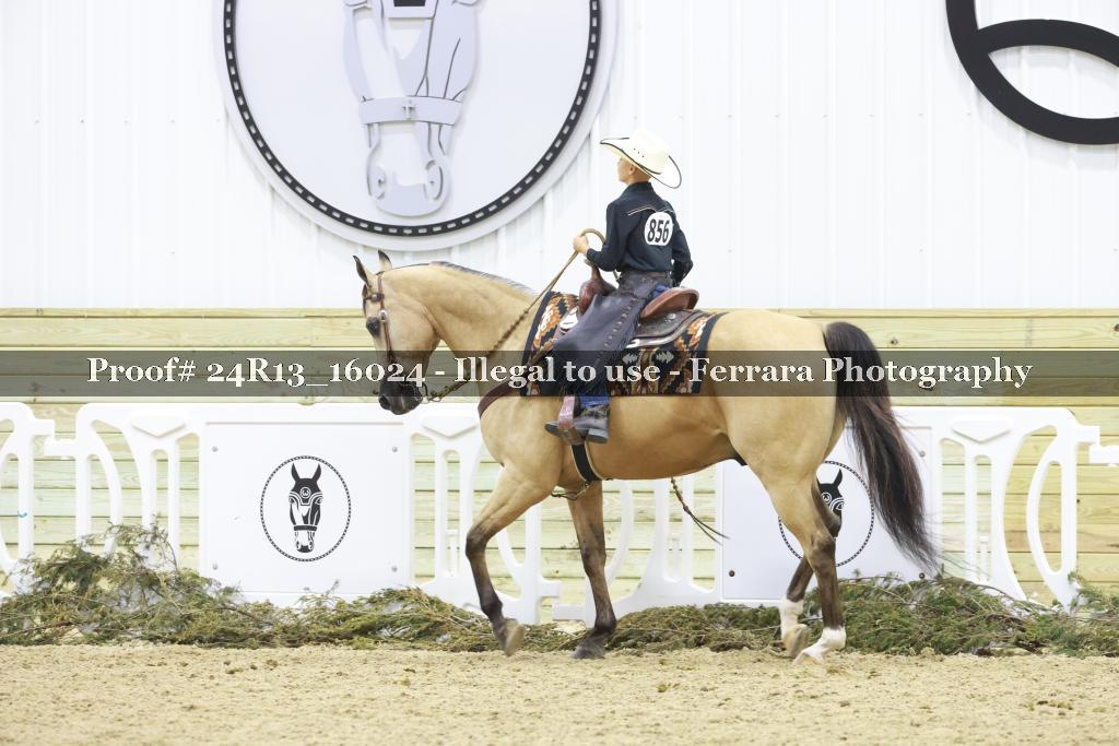 Proof 24R13_16024