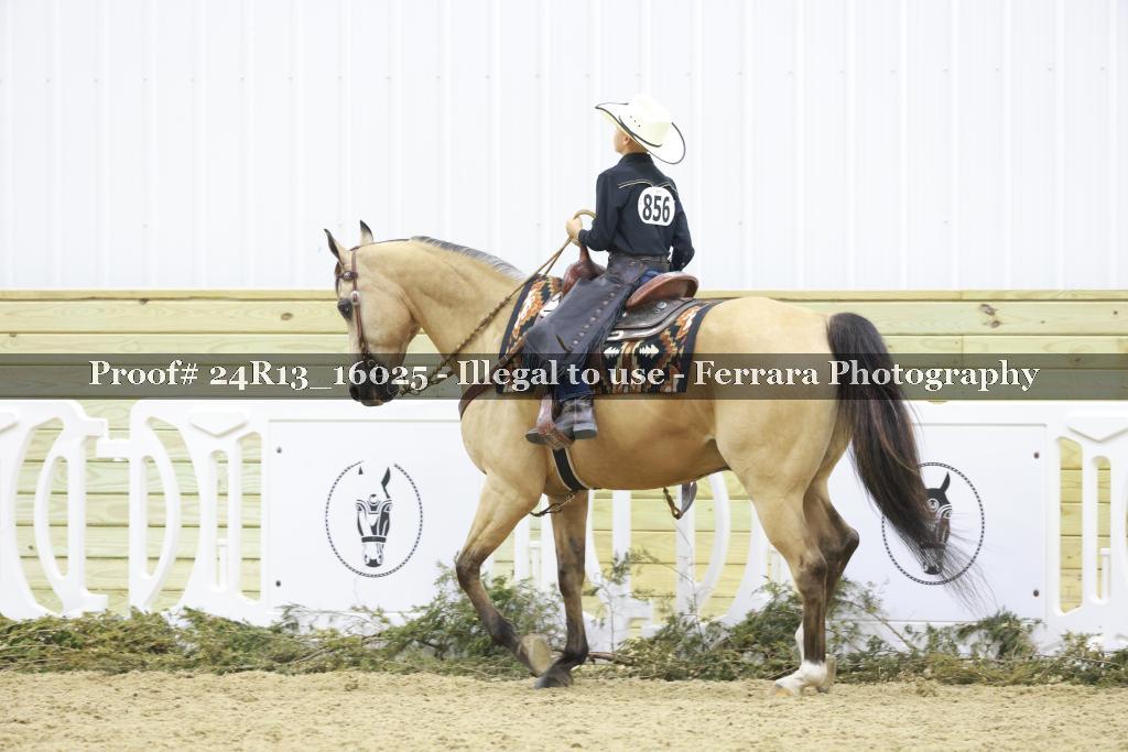 Proof 24R13_16025