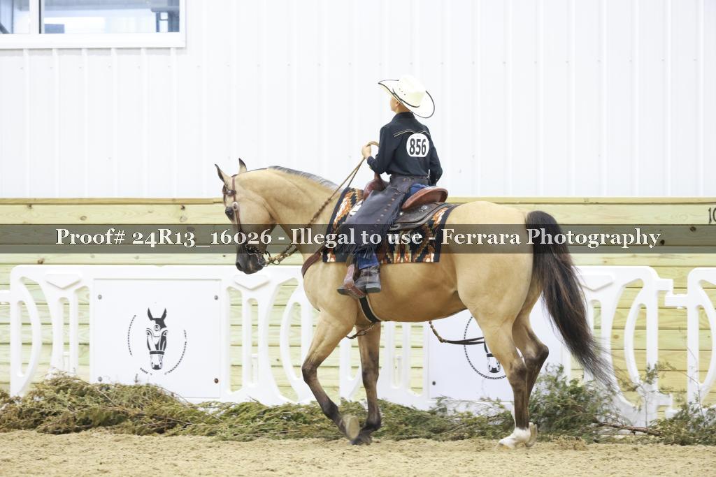 Proof 24R13_16026