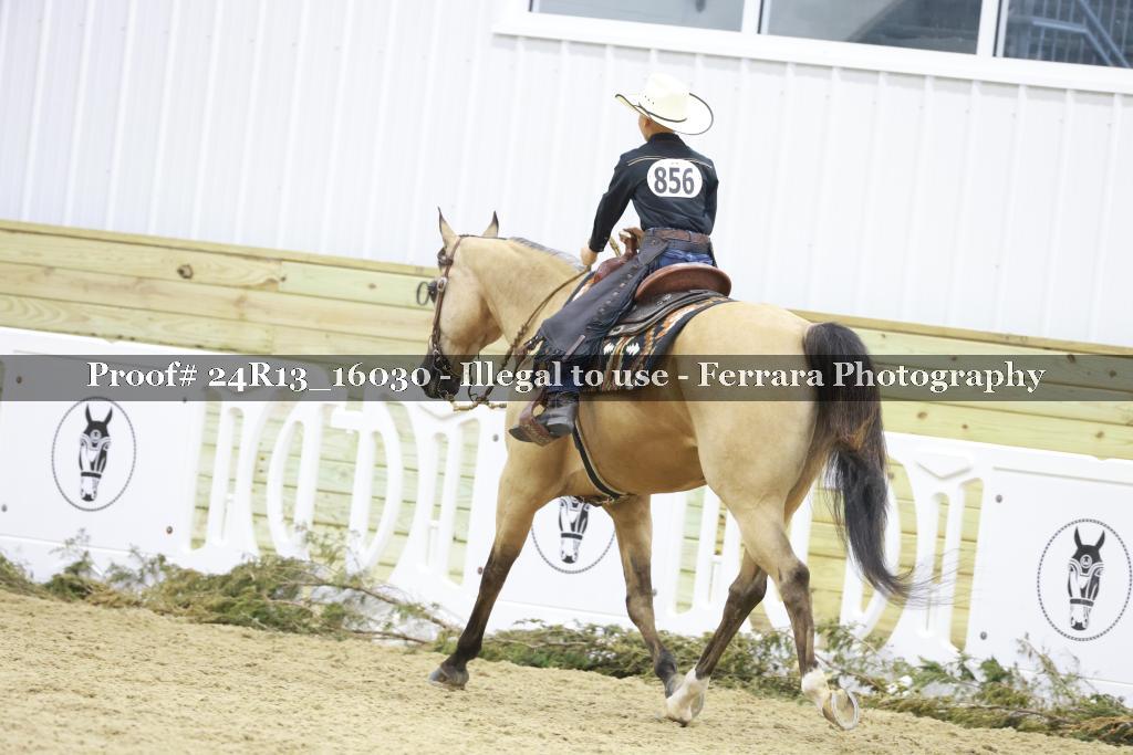 Proof 24R13_16030