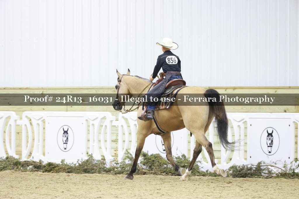 Proof 24R13_16031