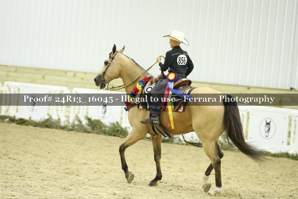 Proof 24R13_16045