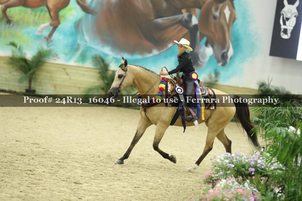 Proof 24R13_16046
