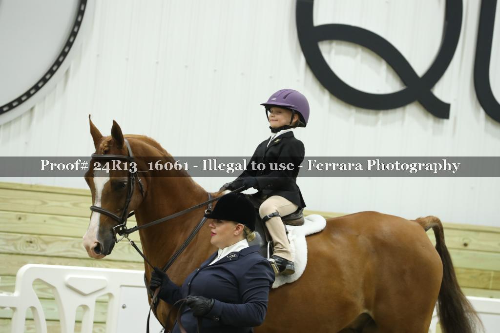 Proof 24R13_16061