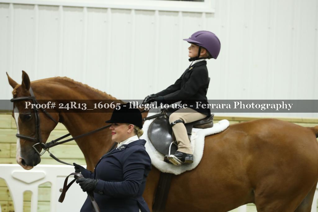 Proof 24R13_16065
