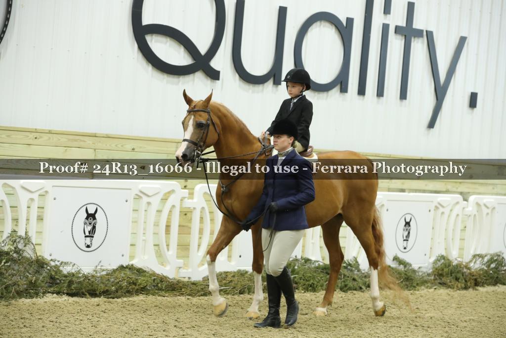 Proof 24R13_16066