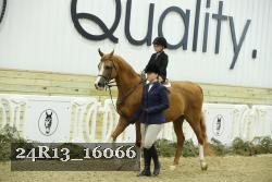 24R13_16066 proof