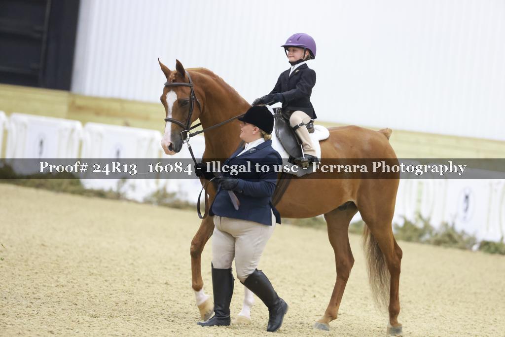 Proof 24R13_16084