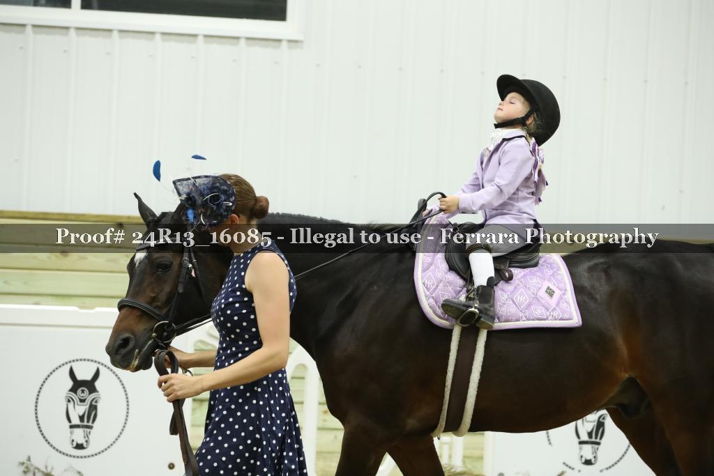 Proof 24R13_16085
