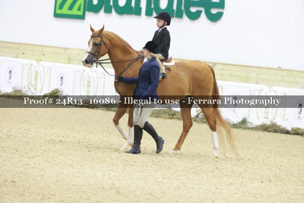 Proof 24R13_16086