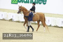 24R13_16086 proof