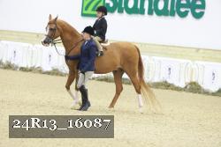 24R13_16087 proof