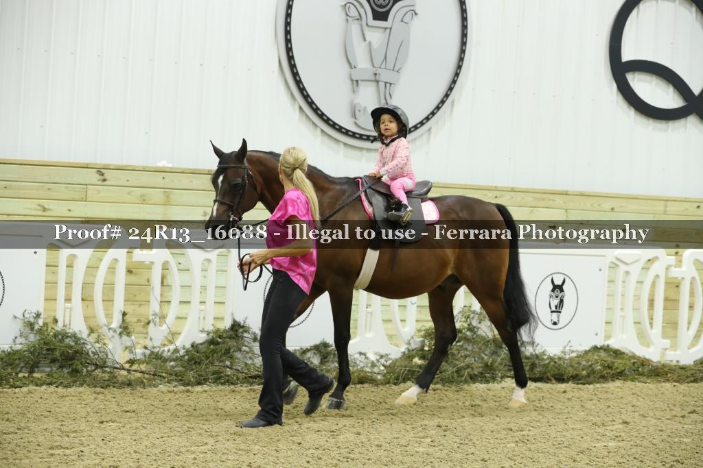 Proof 24R13_16088
