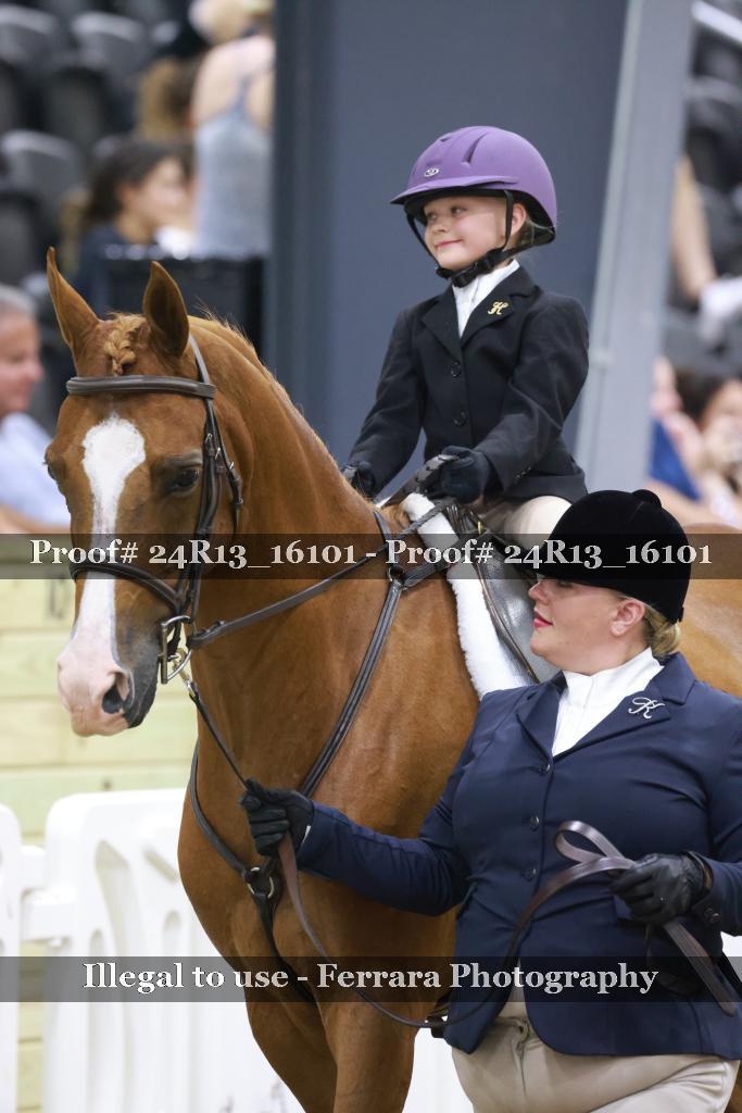Proof 24R13_16101