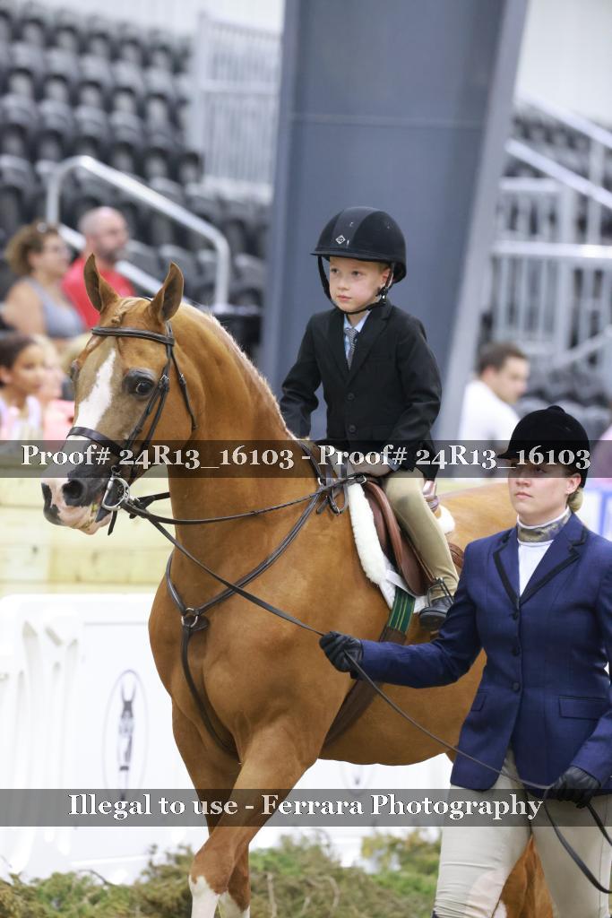 Proof 24R13_16103