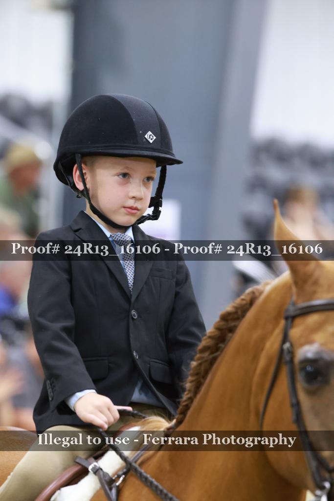 Proof 24R13_16106