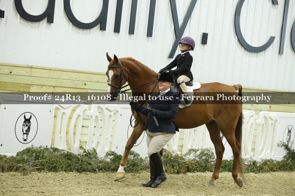 Proof 24R13_16108