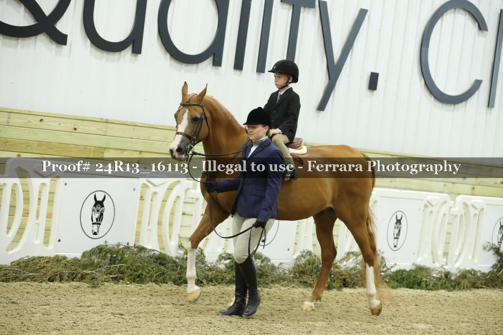 Proof 24R13_16113