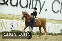 24R13_16113 proof