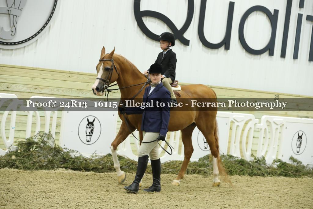 Proof 24R13_16115
