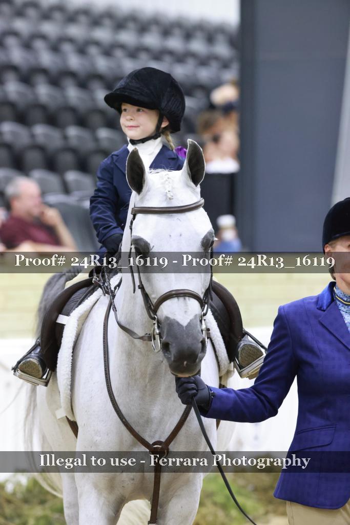 Proof 24R13_16119