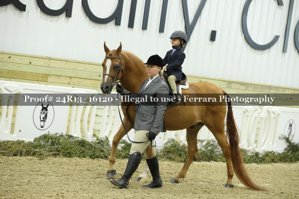 Proof 24R13_16120