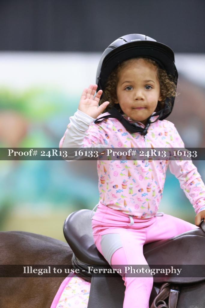 Proof 24R13_16133