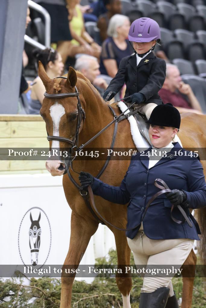 Proof 24R13_16145