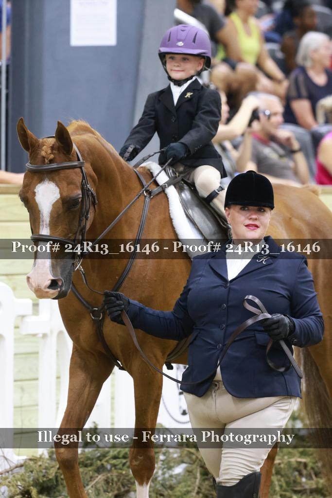 Proof 24R13_16146