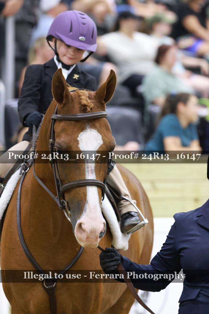 Proof 24R13_16147