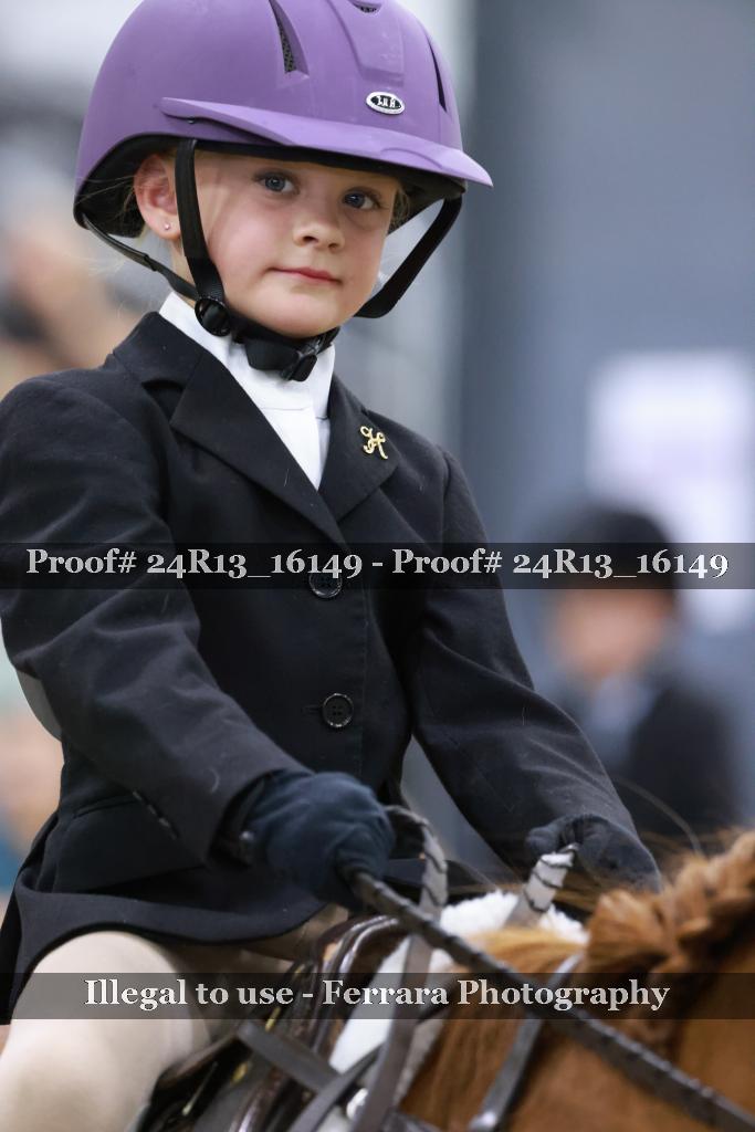 Proof 24R13_16149