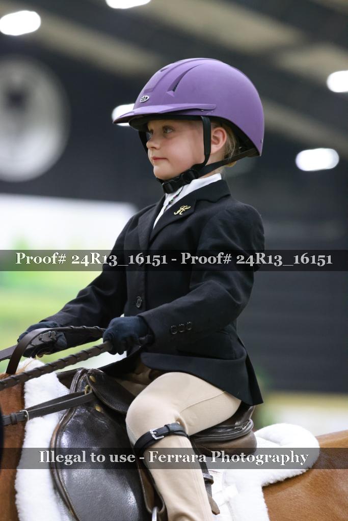 Proof 24R13_16151