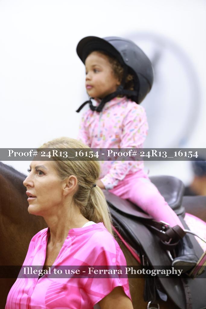 Proof 24R13_16154