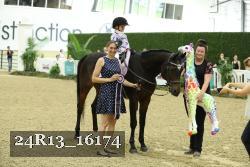 24R13_16174 proof