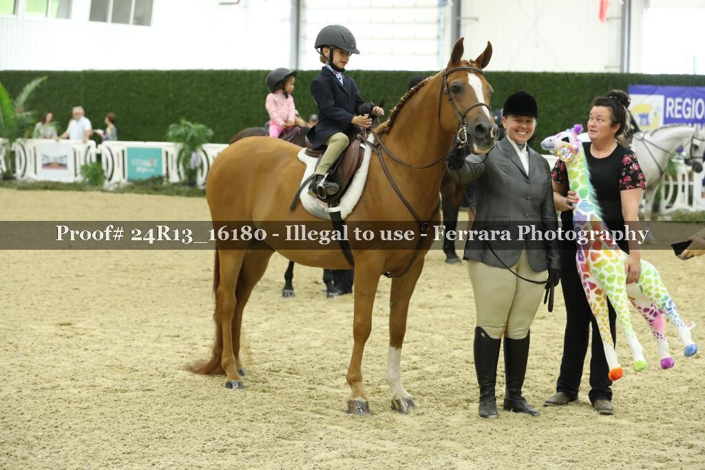 Proof 24R13_16180