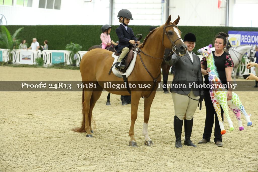 Proof 24R13_16181