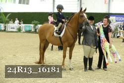 24R13_16181 proof