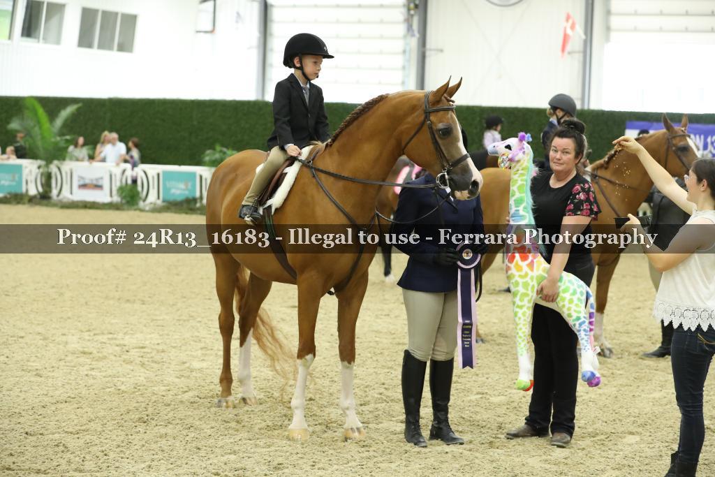 Proof 24R13_16183
