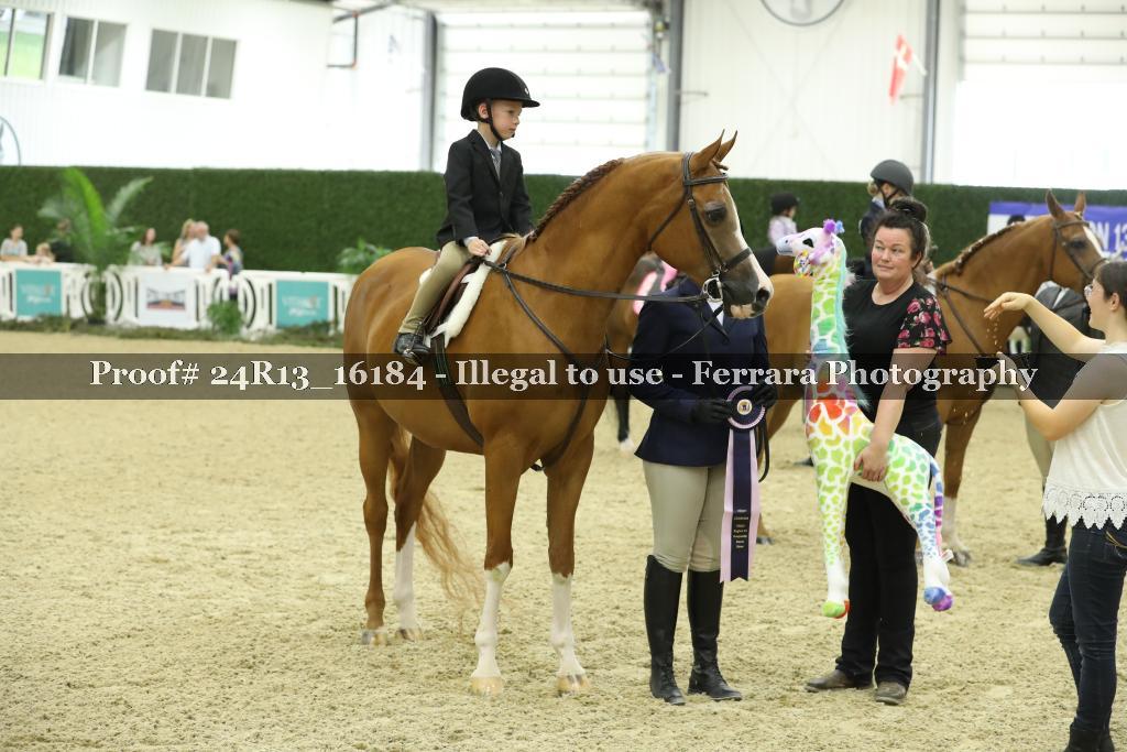 Proof 24R13_16184