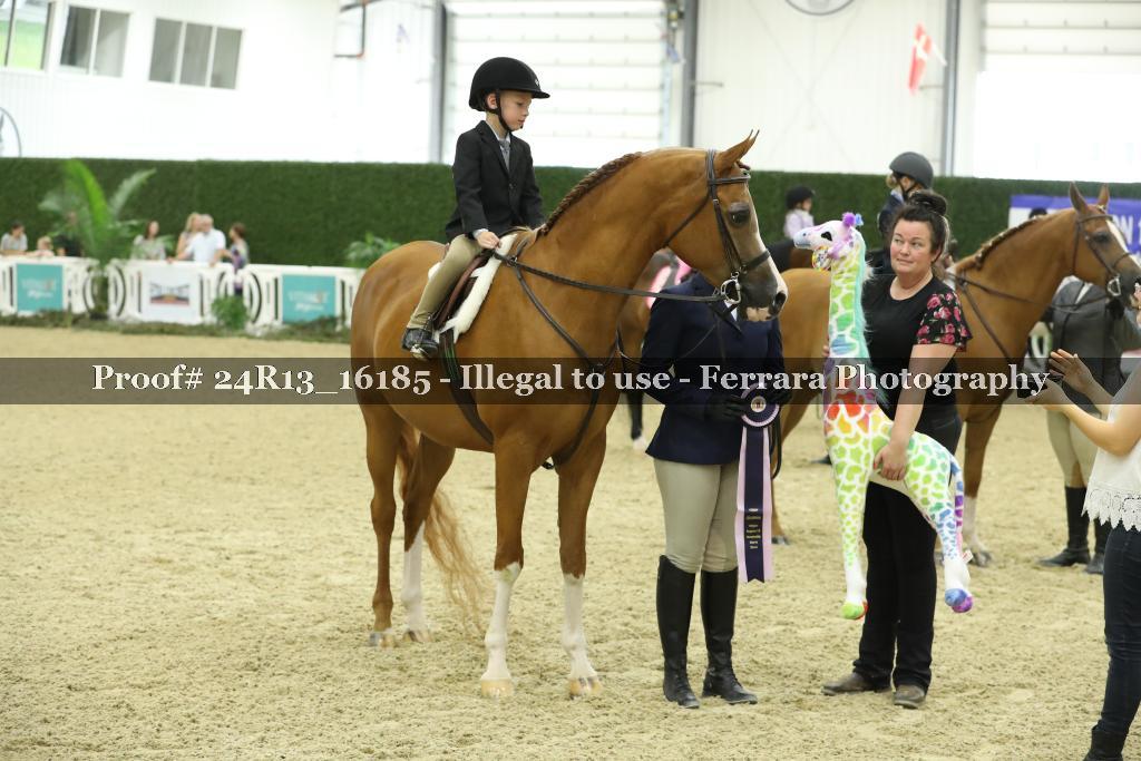 Proof 24R13_16185